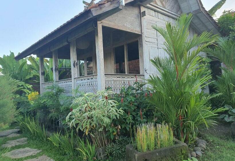 住宿加早餐 Agaliving Medewi