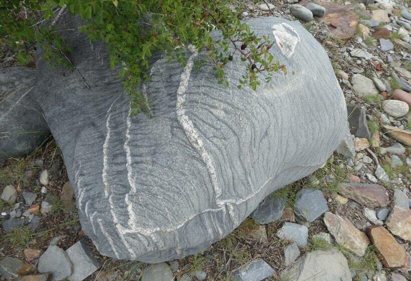 Bed and Breakfast Gemoor Khar  Manor House