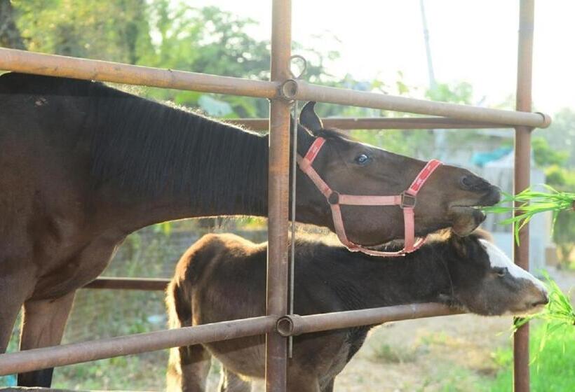 Haveli Expedition & Resort