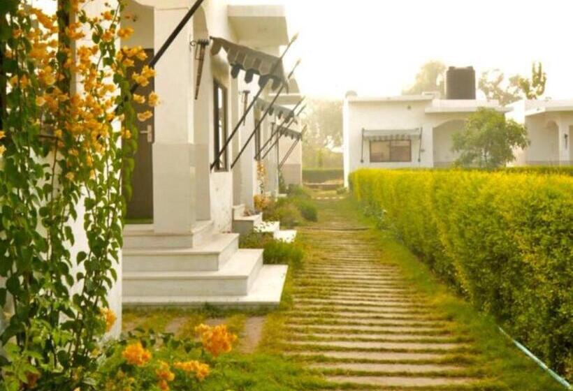 Haveli Expedition & Resort