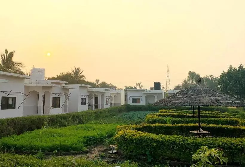 Haveli Expedition & Resort