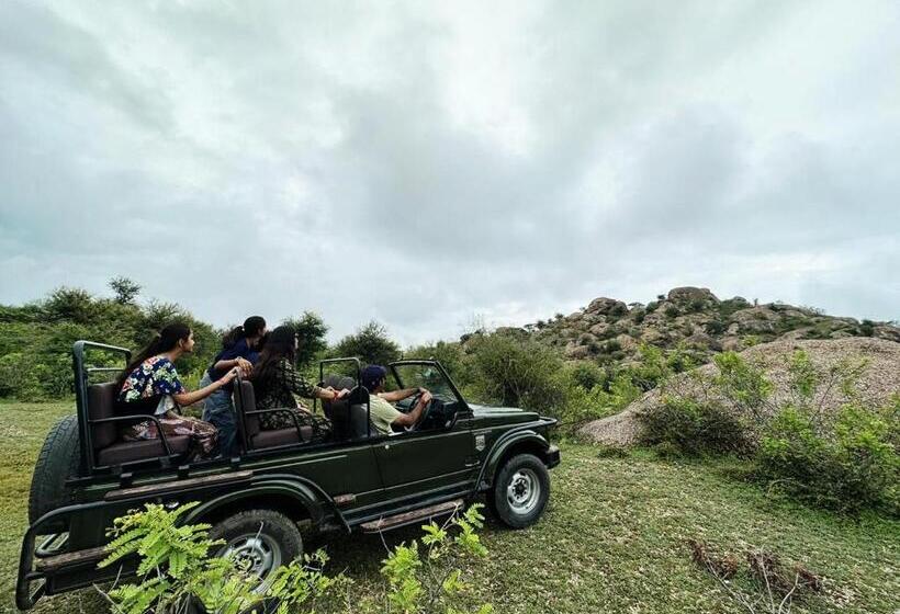 Haveli Expedition & Resort