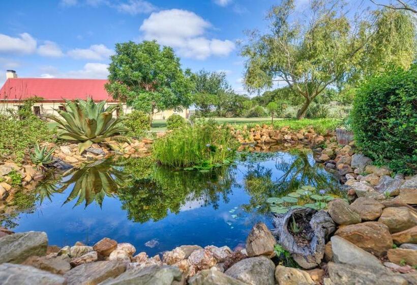 בית מלון כפרי Strandveld Vineyards Cottages