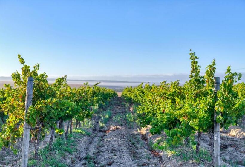 בית מלון כפרי Strandveld Vineyards Cottages