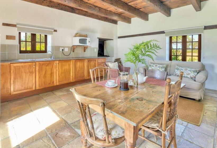 בית מלון כפרי Strandveld Vineyards Cottages