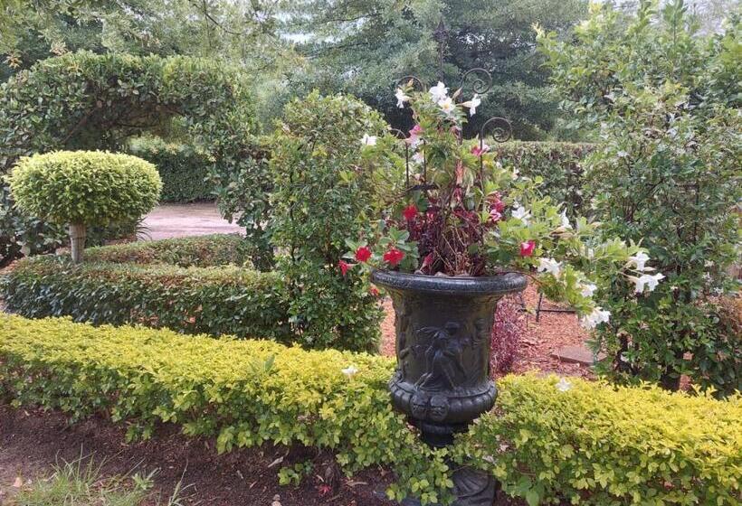 פנסיון Kimi's Cottage