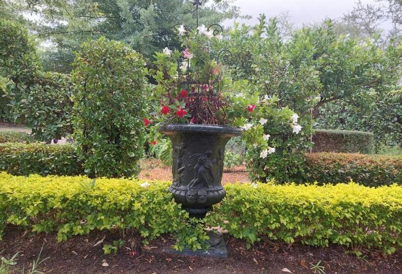 פנסיון Kimi's Cottage