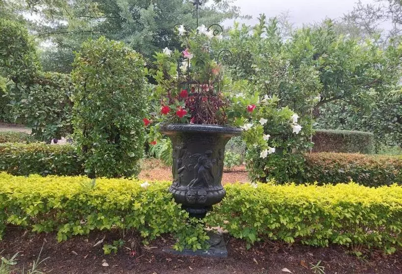 ペンション Kimi's Cottage