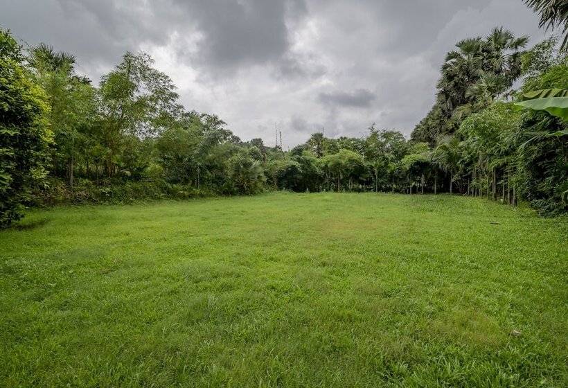 Resort Silvanus Forest Retreat By Madstays, Alibaug