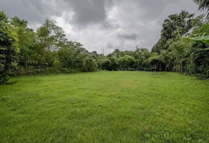 リゾートホテル Silvanus Forest Retreat By Madstays, Alibaug