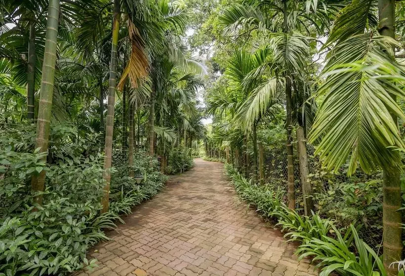 リゾートホテル Silvanus Forest Retreat By Madstays, Alibaug