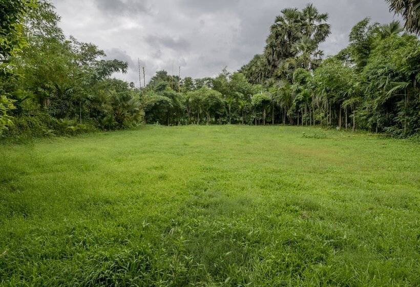 Resort Silvanus Forest Retreat By Madstays, Alibaug