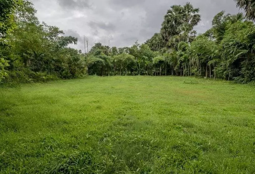 リゾートホテル Silvanus Forest Retreat By Madstays, Alibaug