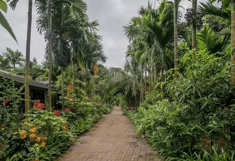 リゾートホテル Silvanus Forest Retreat By Madstays, Alibaug