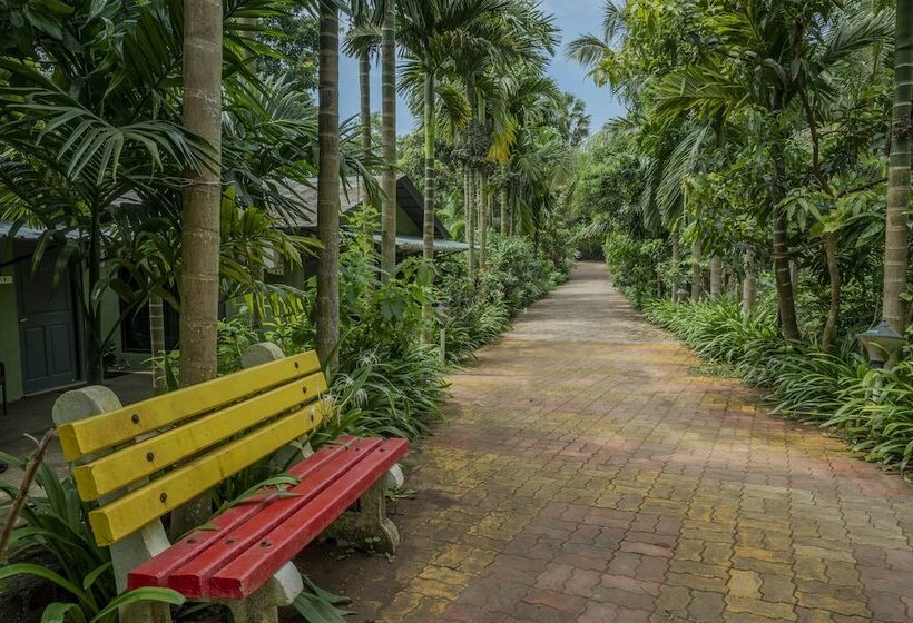 Resort Silvanus Forest Retreat By Madstays, Alibaug