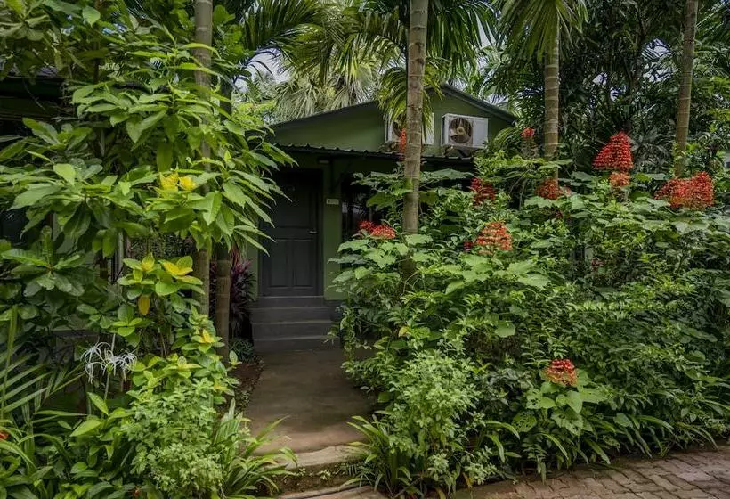 リゾートホテル Silvanus Forest Retreat By Madstays, Alibaug