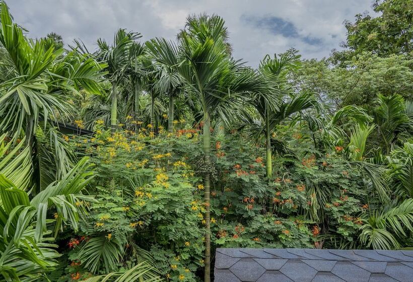 Resort Silvanus Forest Retreat By Madstays, Alibaug