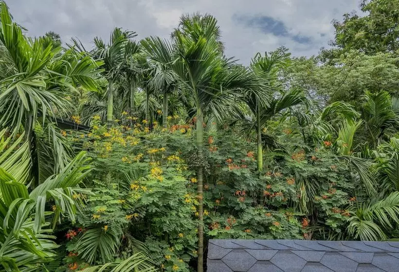 リゾートホテル Silvanus Forest Retreat By Madstays, Alibaug