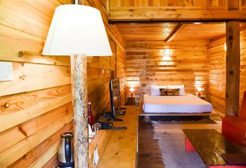 Suro Treehouse Resort