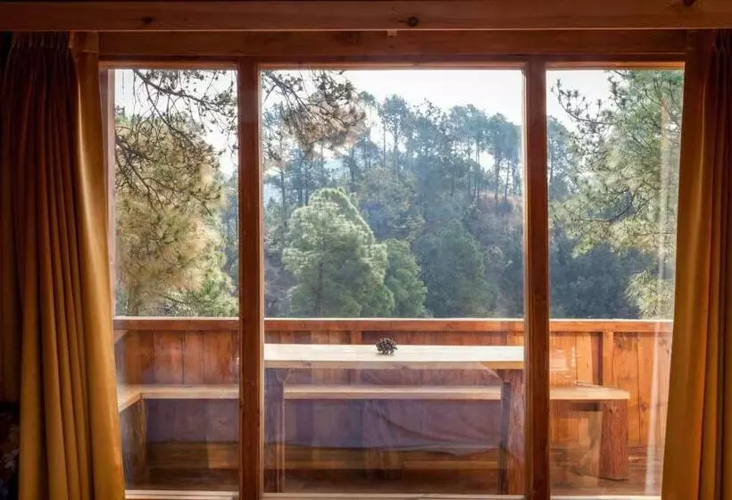 Suro Treehouse Resort