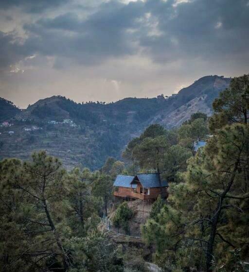 Suro Treehouse Resort