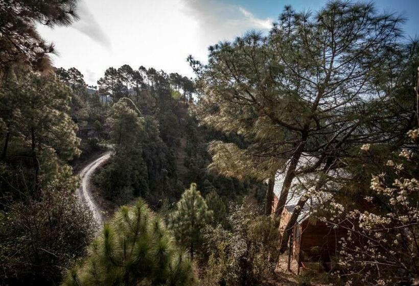 Suro Treehouse Resort