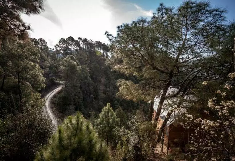 Suro Treehouse Resort