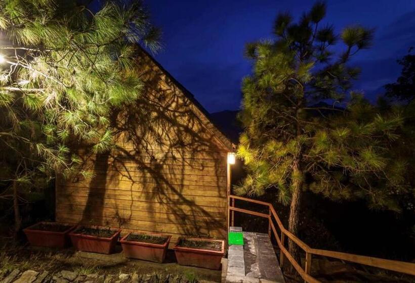 Suro Treehouse Resort