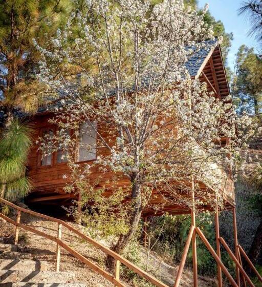 Suro Treehouse Resort