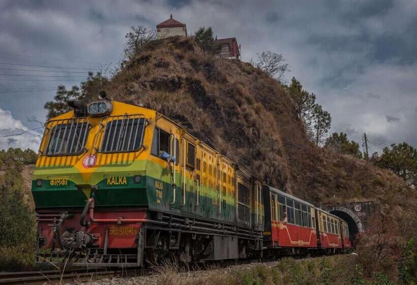 Suro Treehouse Resort