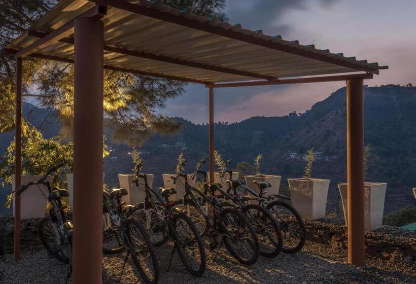 Suro Treehouse Resort