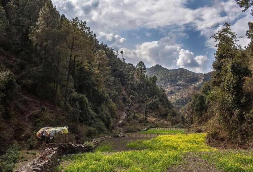 Suro Treehouse Resort