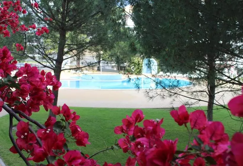 Apartamentos Pine Sun Park