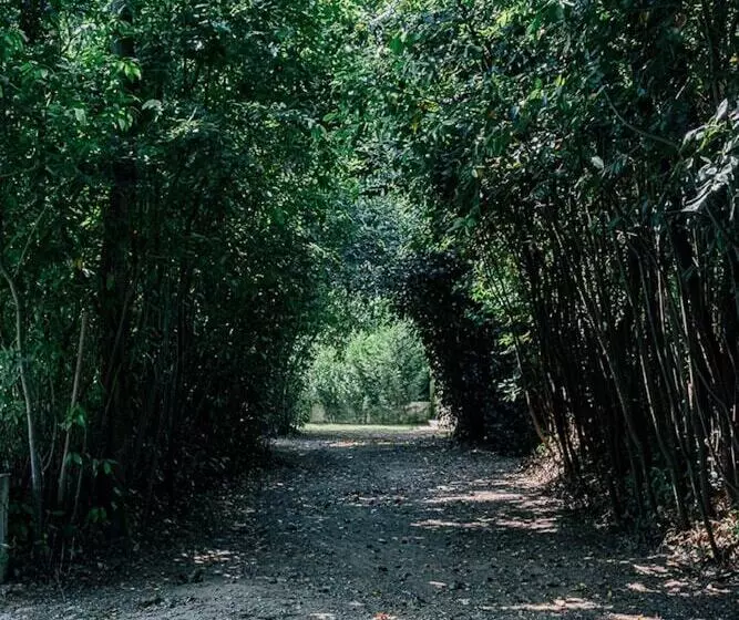 Conimbriga Hotel Do Paço