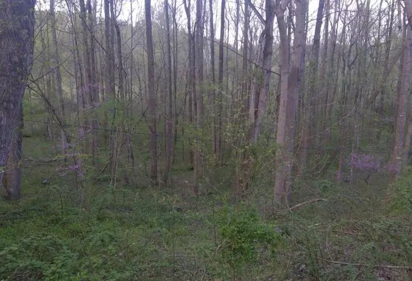 Bliss Point Farm And B&b, Llc