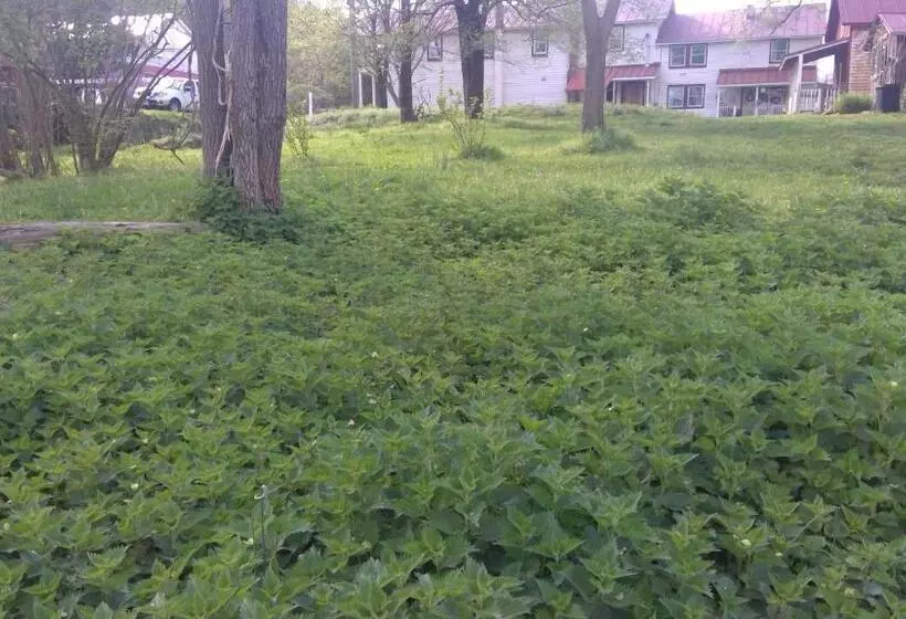 Bliss Point Farm And B&b, Llc