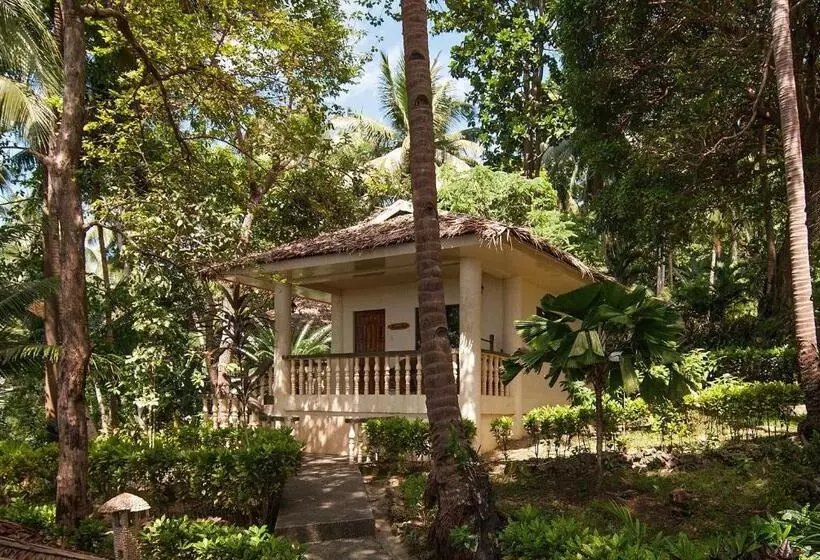 Easy Diving And Beach Resort