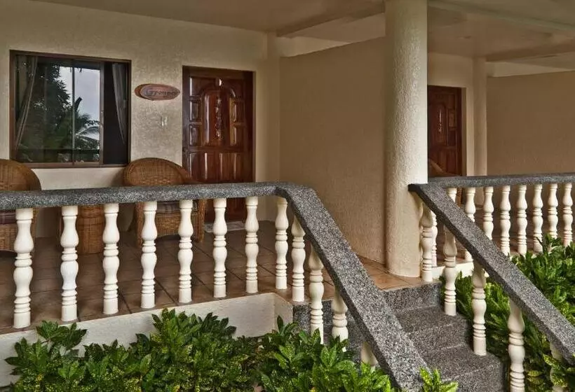 Easy Diving And Beach Resort