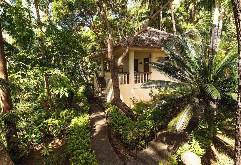 Easy Diving And Beach Resort