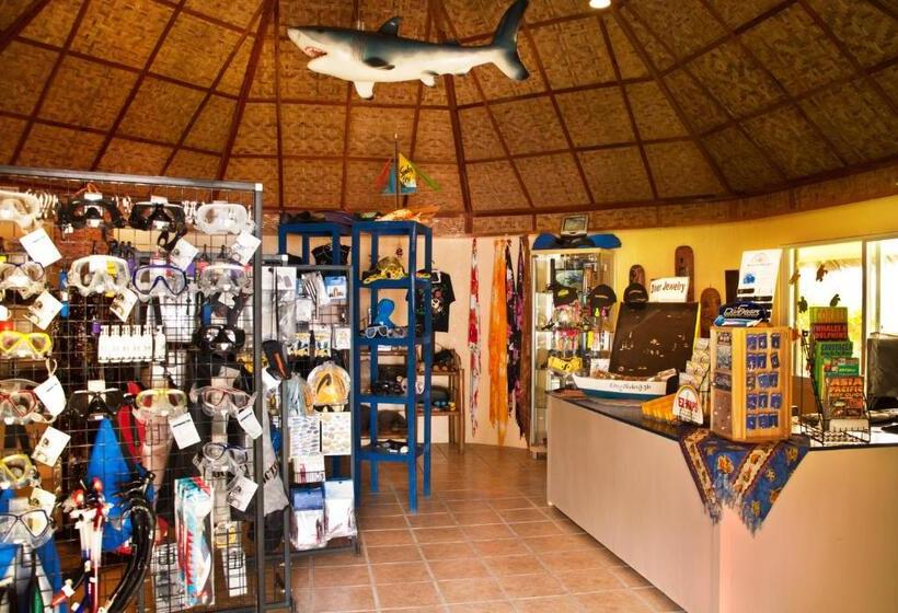 Easy Diving And Beach Resort