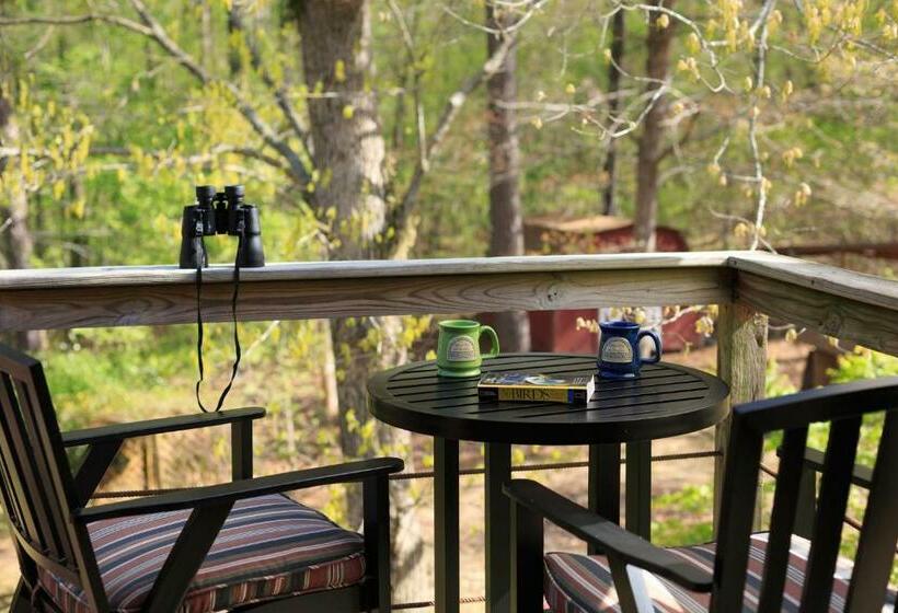 Tiffany S Bed And Breakfast