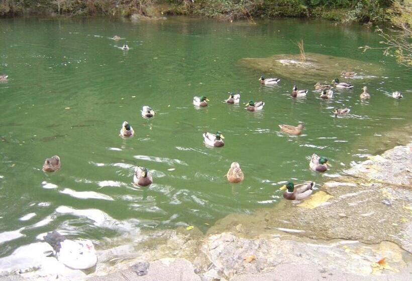 בית מלון כפרי Auberge Cocagne