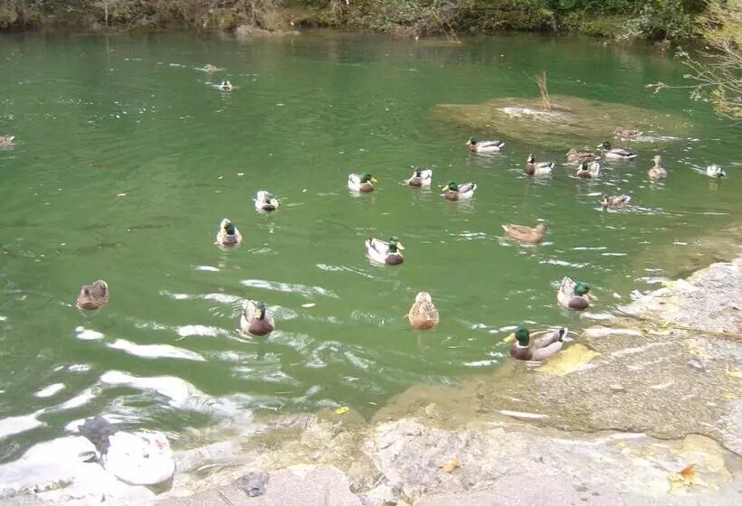 Отель Auberge Cocagne