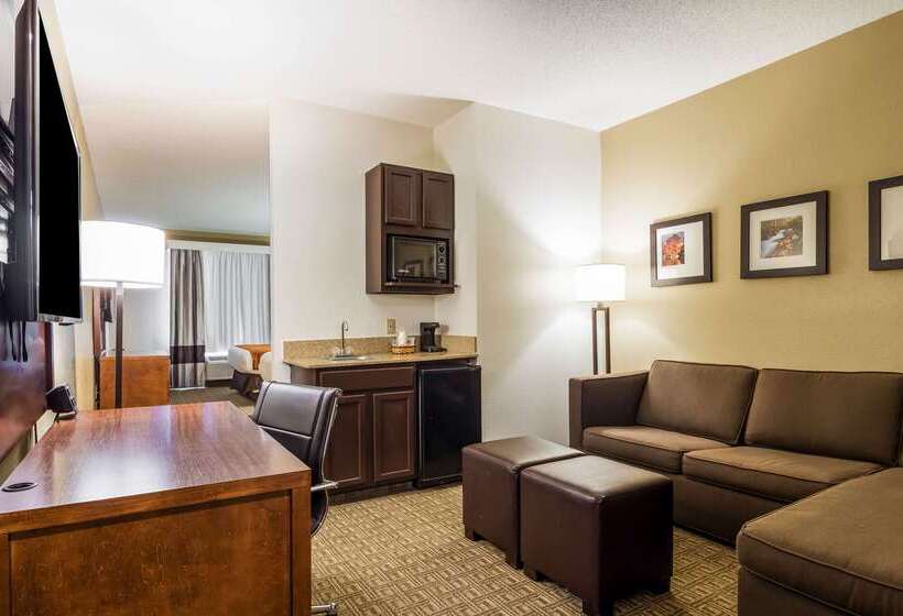 호텔 Comfort Suites