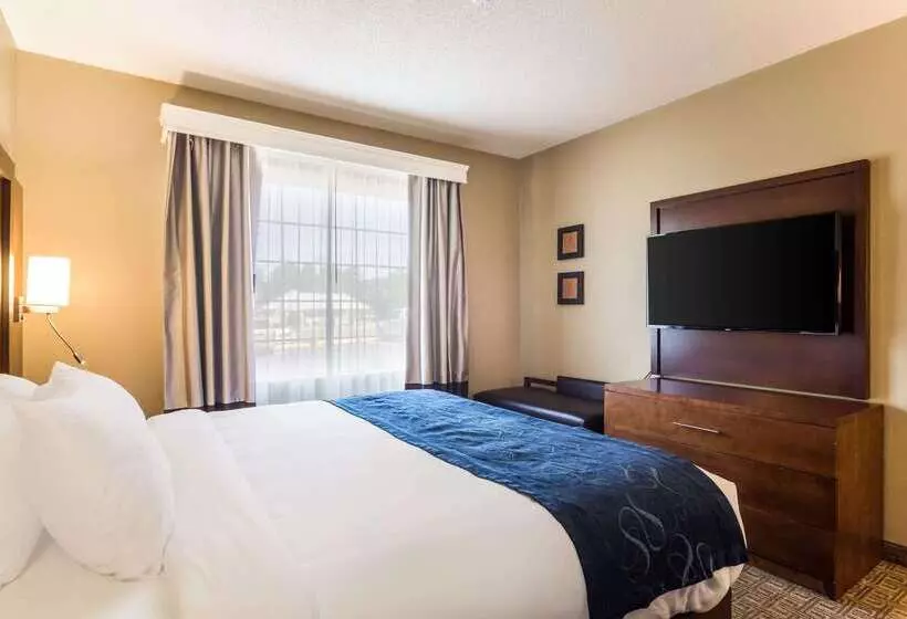 호텔 Comfort Suites