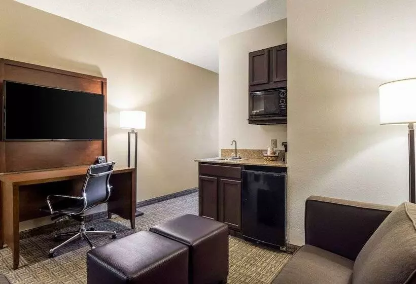 호텔 Comfort Suites