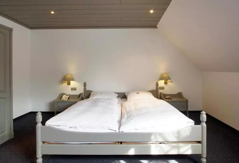 酒店 Goldener Stern