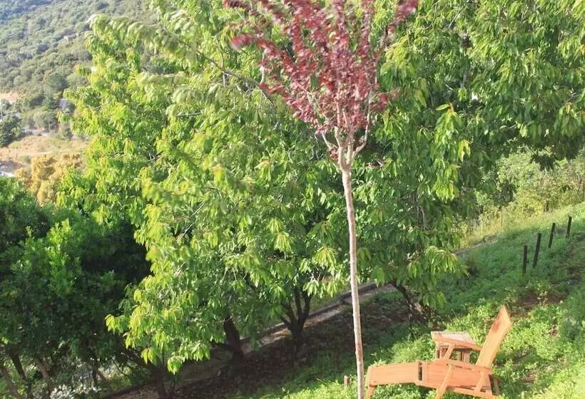 Отель Hôtel Le Niobel Hôtel De Charme