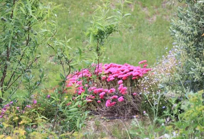 Отель Hôtel Le Niobel Hôtel De Charme