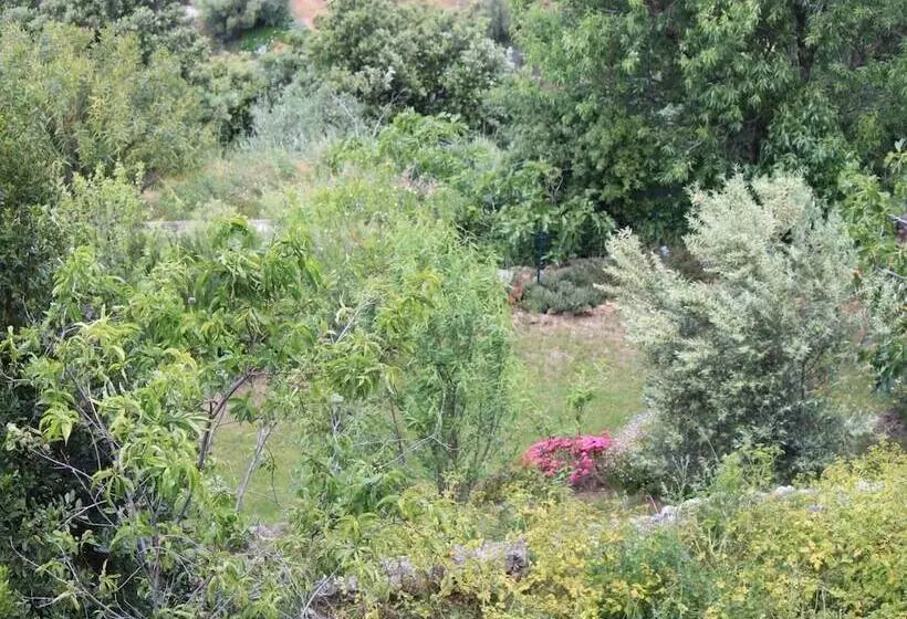 Отель Hôtel Le Niobel Hôtel De Charme